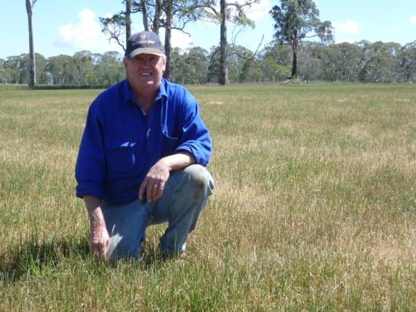 Bob Williamson, ‘Neeworra’, Guyra, has found Hummer tall fescue pastures well suited to the New England Tableland